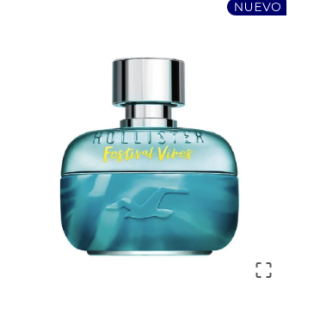 Hollister Festival Vibes Men Edt 100Ml Tester