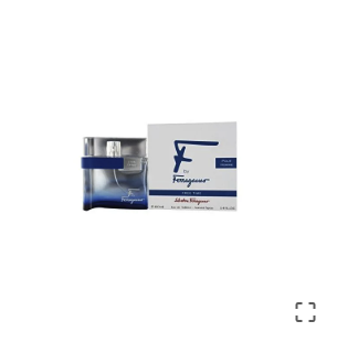 Salvatore Ferragamo F By Ferragamo Free Time Men Edt 100Ml